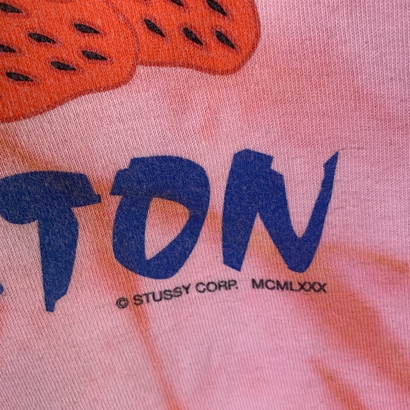 ❌SOLD❌ Stussy “all fruits ripe” graphic shirt - Picture 3 of 11